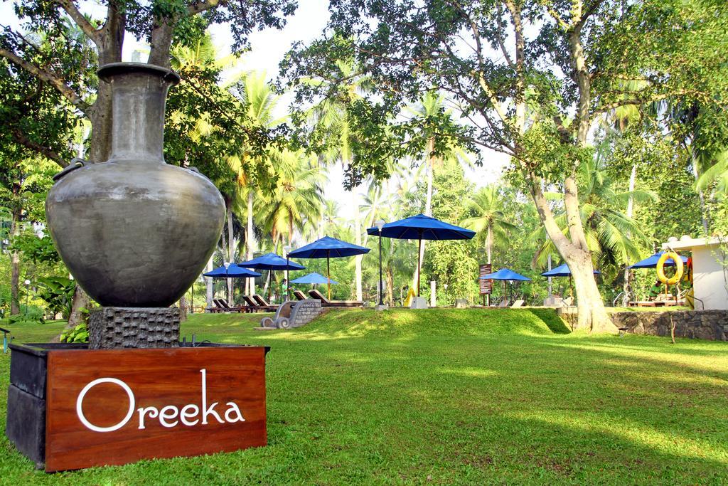 Oreeka - Katunayake Airport Transit Hotels Katunayaka Exterior foto