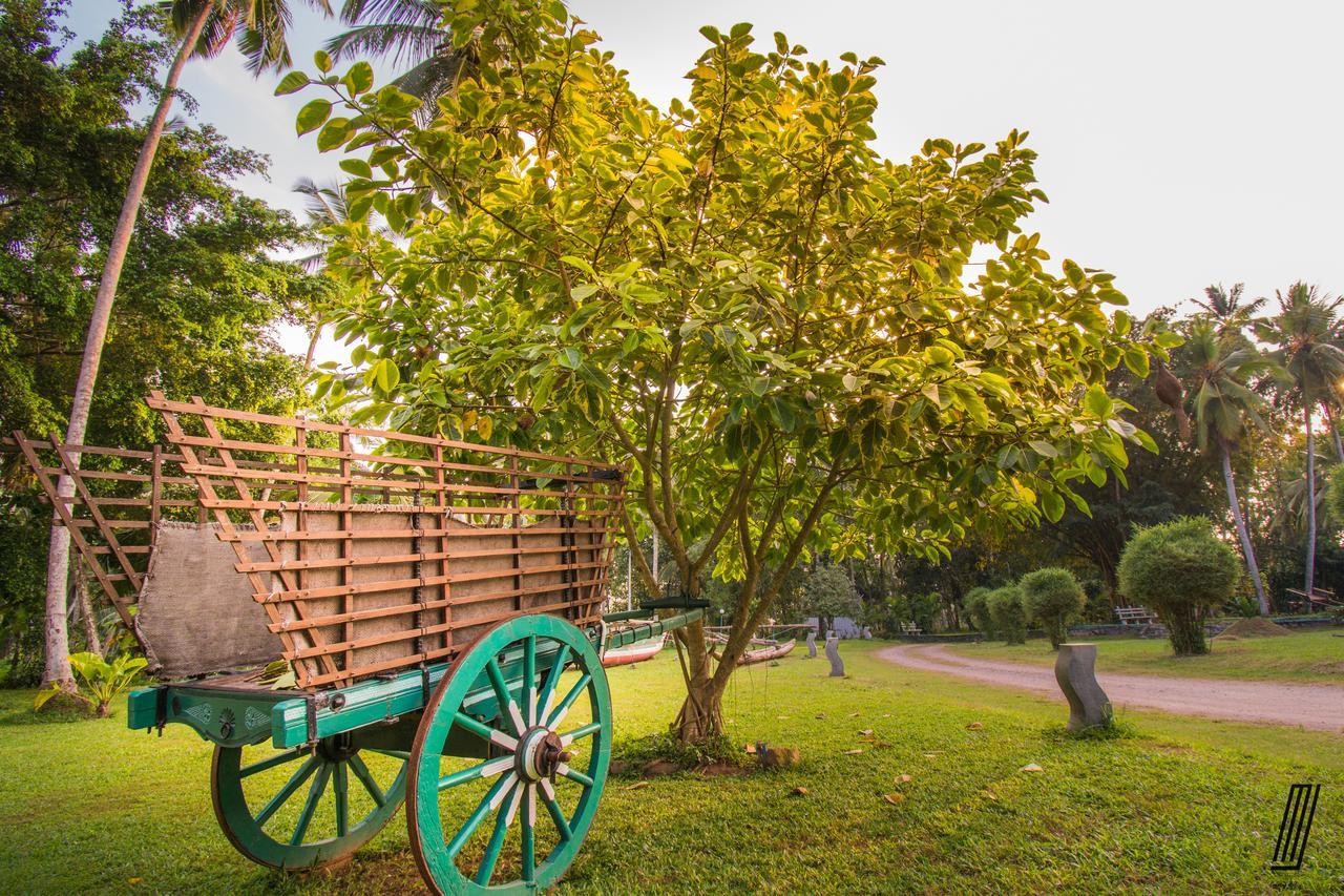 Oreeka - Katunayake Airport Transit Hotels Exterior foto