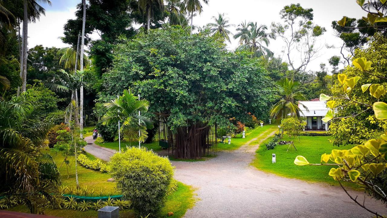 Oreeka - Katunayake Airport Transit Hotels Exterior foto